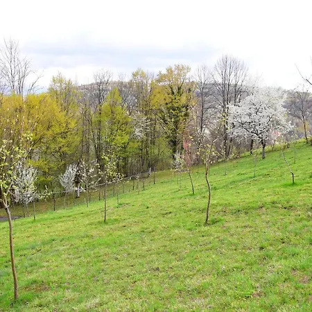 Cabană La Sălaşul Fermecat în Cheile Carasului
