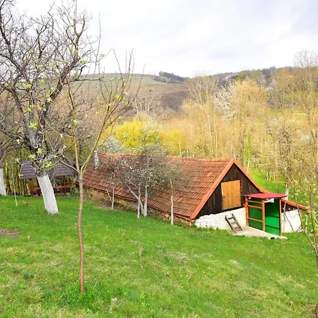 La Salasul Fermecat In Cheile Carasului