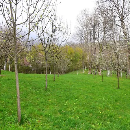 Cabană La Sălaşul Fermecat în Cheile Carasului