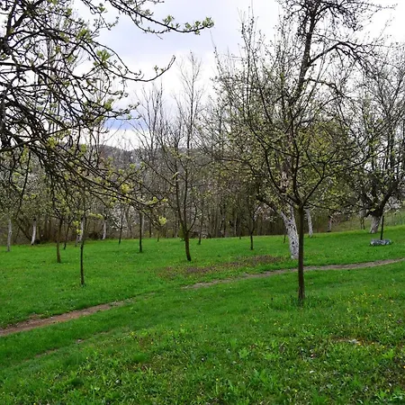 La Sălaşul Fermecat în Cheile Carasului Cabană Iabalcea