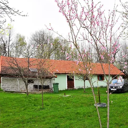 La Salasul Fermecat In Cheile Carasului Lodge *