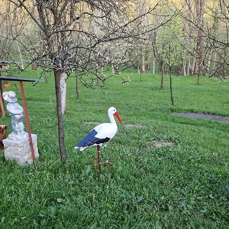 La Sălaşul Fermecat în Cheile Carasului * Iabalcea
