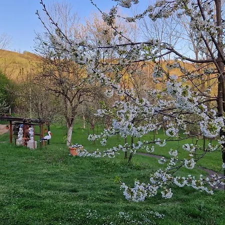 La Sălaşul Fermecat în Cheile Carasului Iabalcea