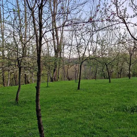 La Salasul Fermecat In Cheile Carasului * Iabalcea