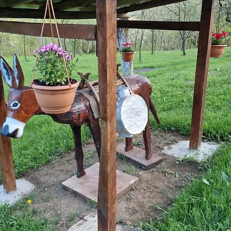 La Sălaşul Fermecat în Cheile Carasului Cabană Iabalcea