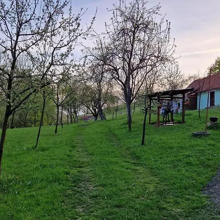 La Salasul Fermecat In Cheile Carasului Lodge